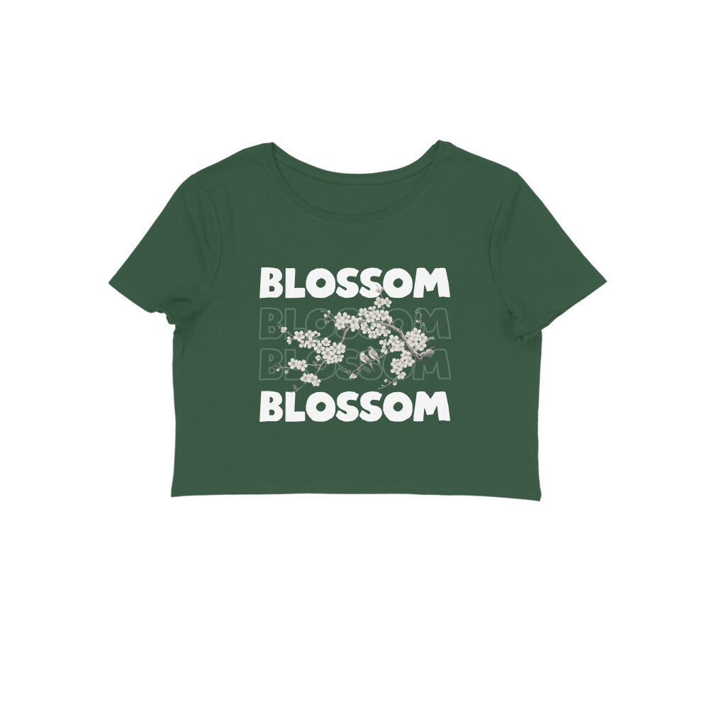 Front View - 5670047