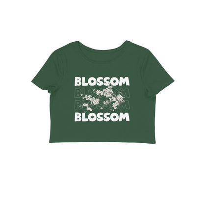 Front View - 5670047