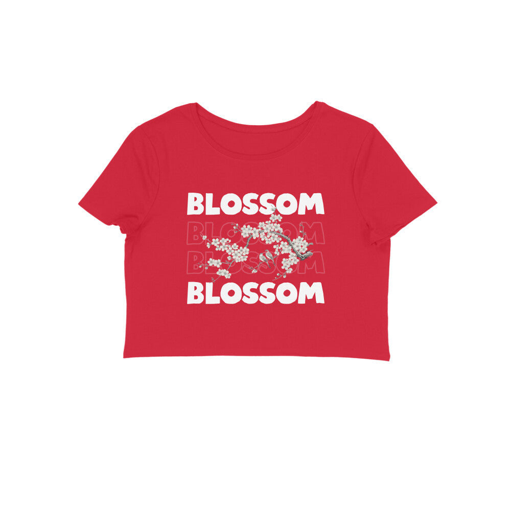 Front View - 5670048